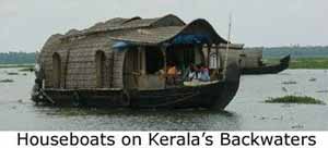 Houseboats on Kerala's famous backwaters